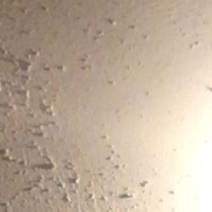 Meet your Posher, Derrick